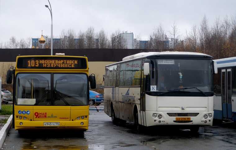 ФАС остановила поиск подрядчика для пассажирских перевозок в Сургуте