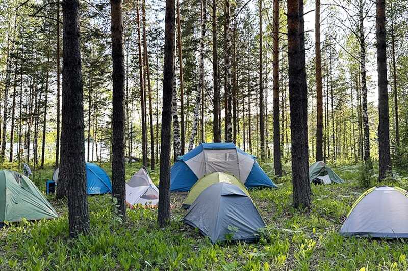 Мигранты живут в лесу: москвичи обнаружили палаточный городок в Сокольниках