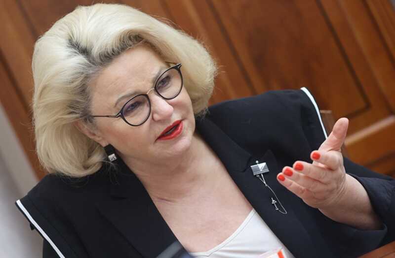 Нина Останина назвала аморальным присуждение звания «Отец-герой» чиновнику, у которого 31 ребёнок